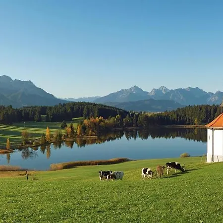 Pusteblume Wangen im Allgäu
