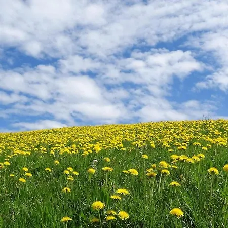 Pusteblume Appartamento