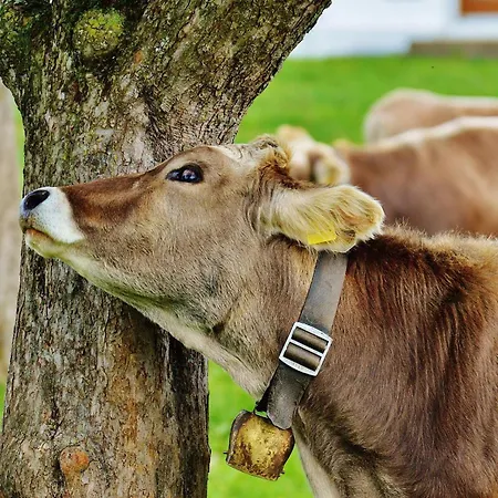 Appartamento Pusteblume