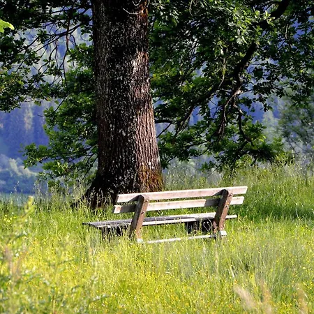 Pusteblume * Wangen im Allgäu
