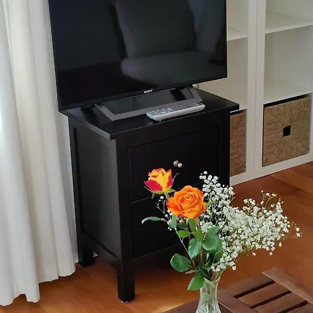 Apartment Pusteblume *