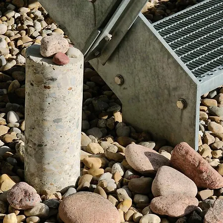 Pusteblume Wangen im Allgäu